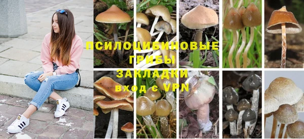 MDMA Каменногорск