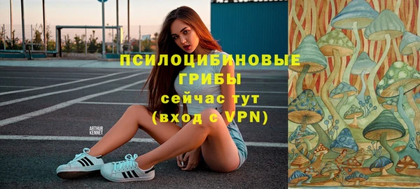 MDMA Каменногорск