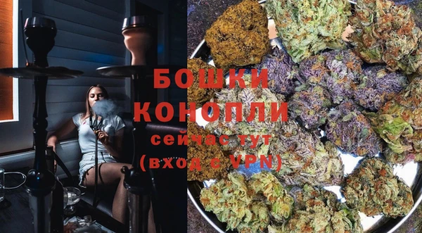 PSILOCYBIN Каменск-Шахтинский