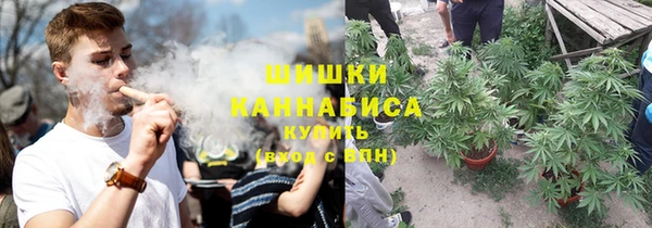 PSILOCYBIN Каменск-Шахтинский