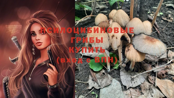 PSILOCYBIN Каменск-Шахтинский
