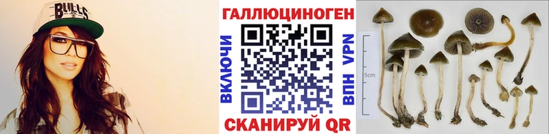 Купить  Ейск  Галлюциногенные грибы ЛСД 